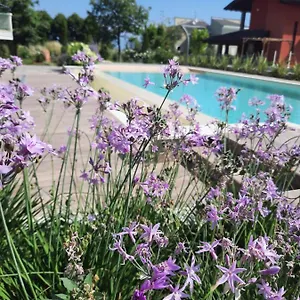 Apartment Gloria, Peschiera del Garda